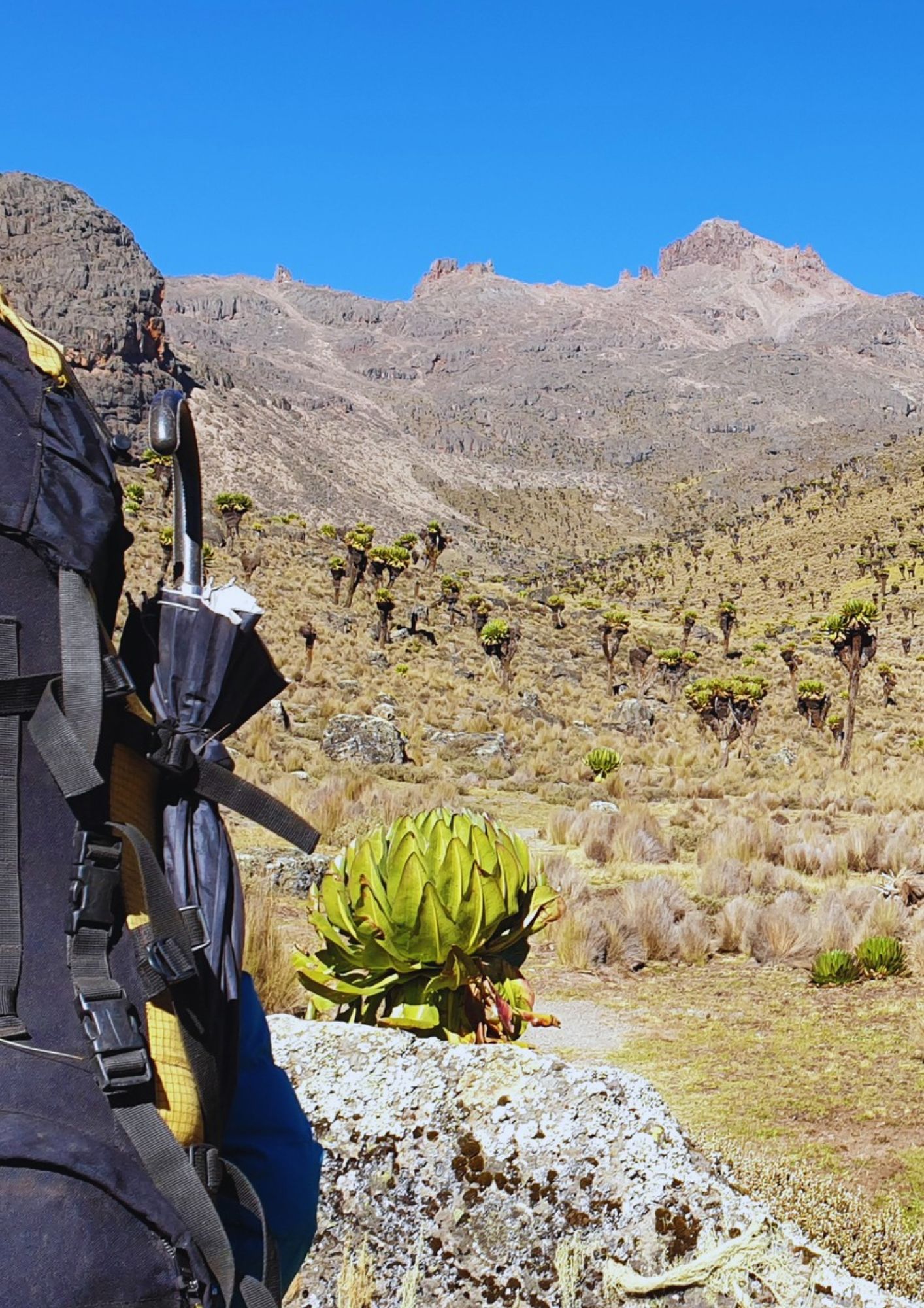 Naro Moru - Go Mount Kenya Expedition