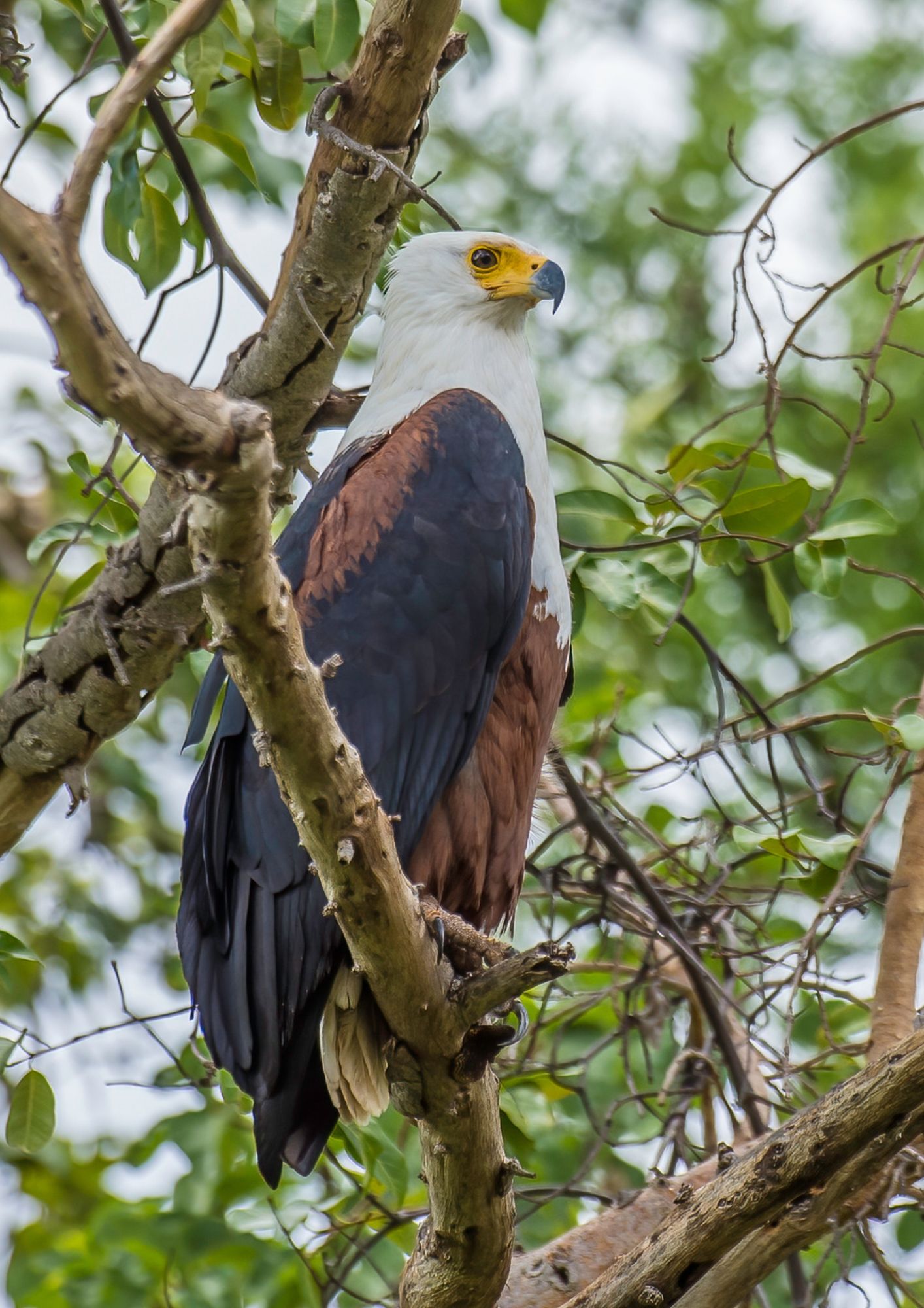 Meru National Park - Go Mount Kenya Expedition