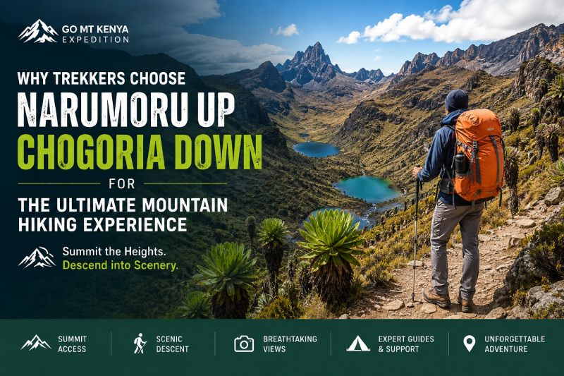 Hiking adventure in Mount Kenya's heights